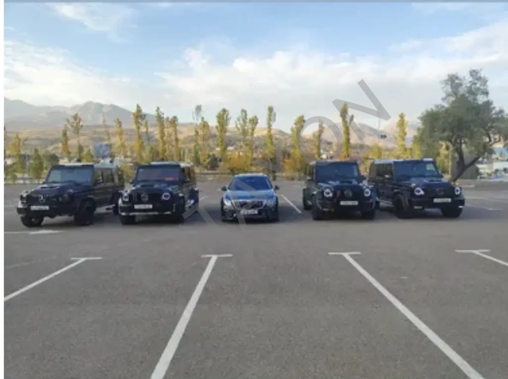 Кортеж Той ва Радом Kortej BrabuS888